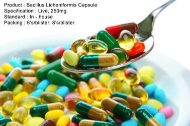 Bacillus Licheniformis Capsule Live، 250mg داروهای خوراکی